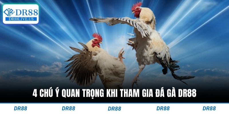4 chú ý quan trọng khi tham gia đá gà dr88