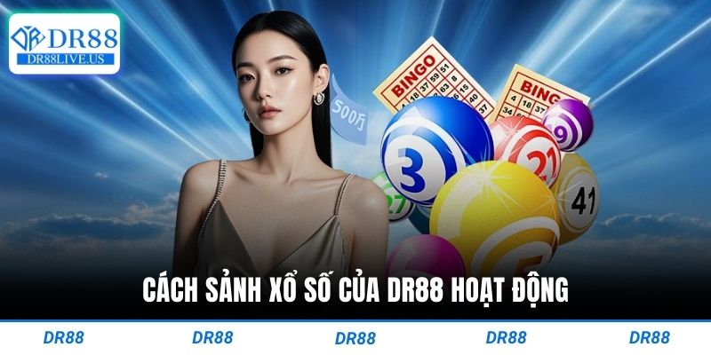 Cách sảnh xổ số của dr88 hoạt động